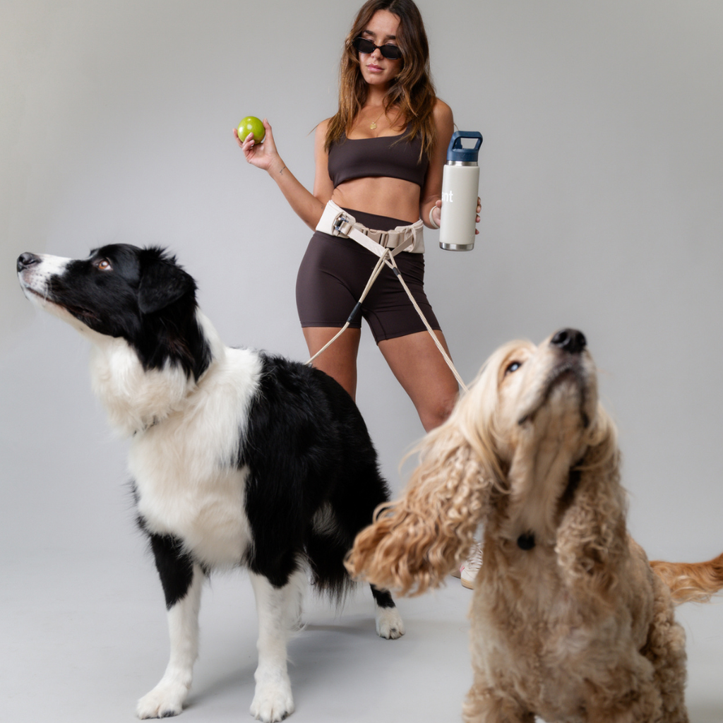 The Attachdᵀᴹ Hands-Free Dog Belt