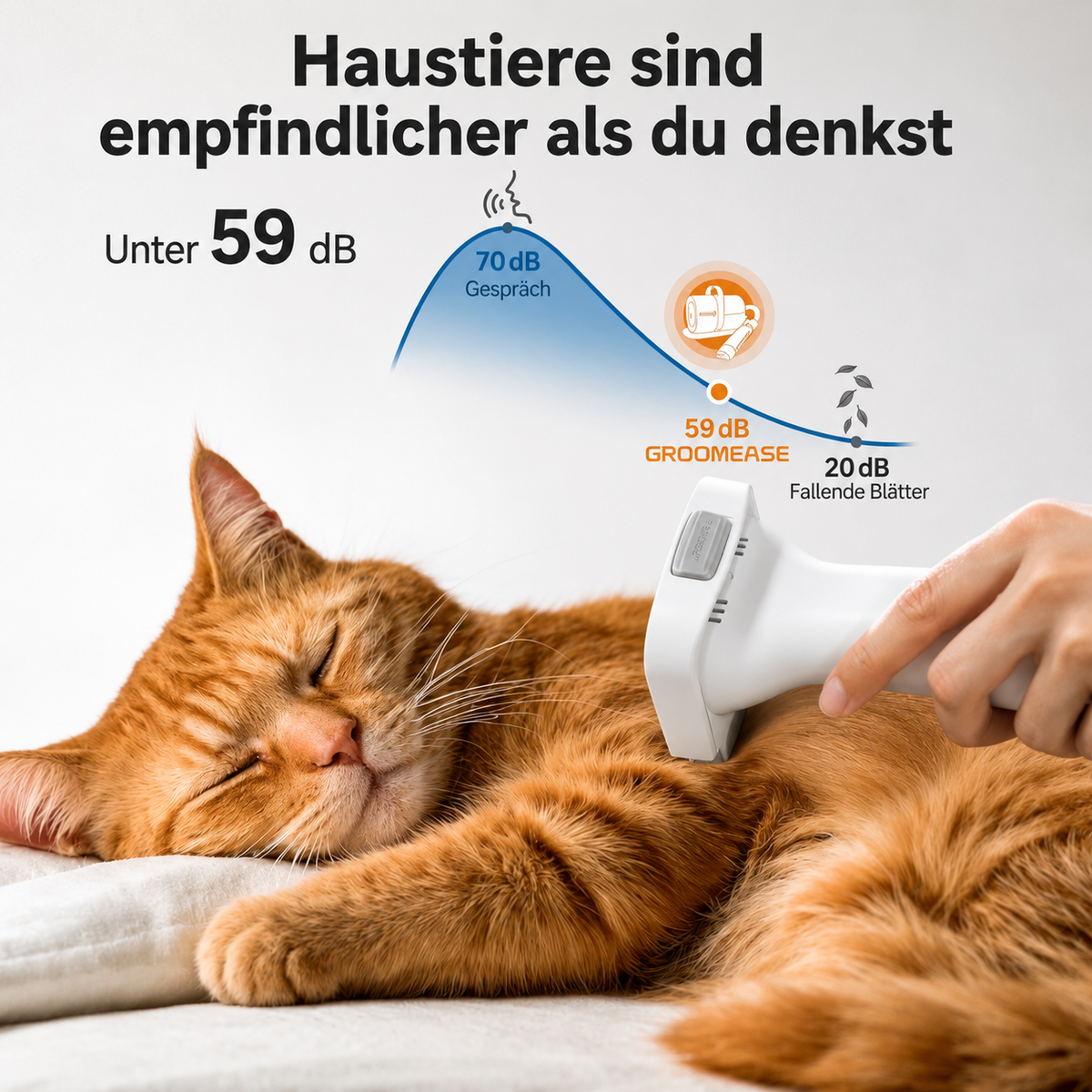 Stressfreie Fellpflege zu Hause