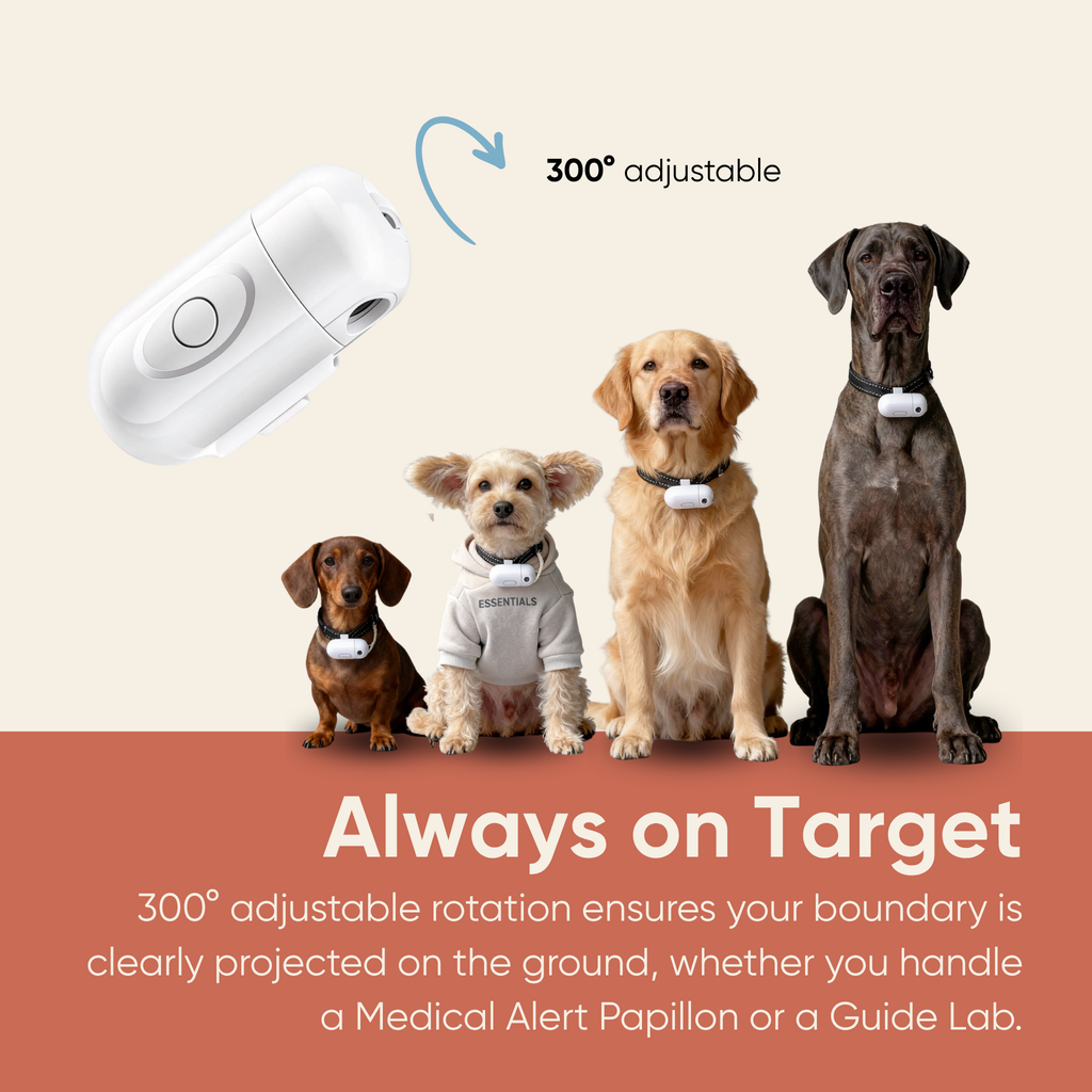 The Spotlight - Night Projection Gear for Service & Guide Dogs