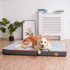 Corgi resting on the XXL orthopedic mattress indoors