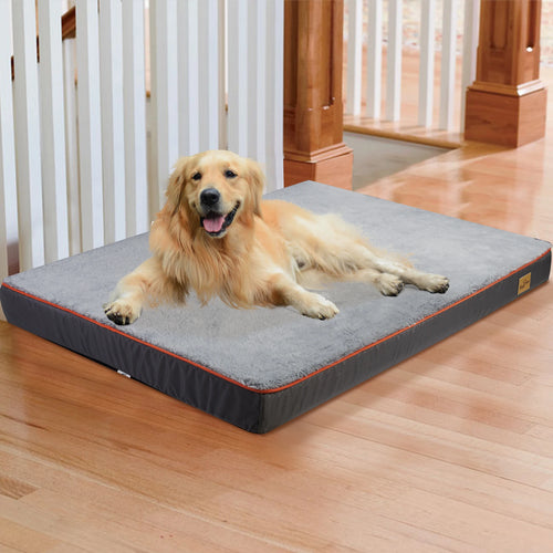 Golden retriever stretched out on the XXL orthopedic mattress