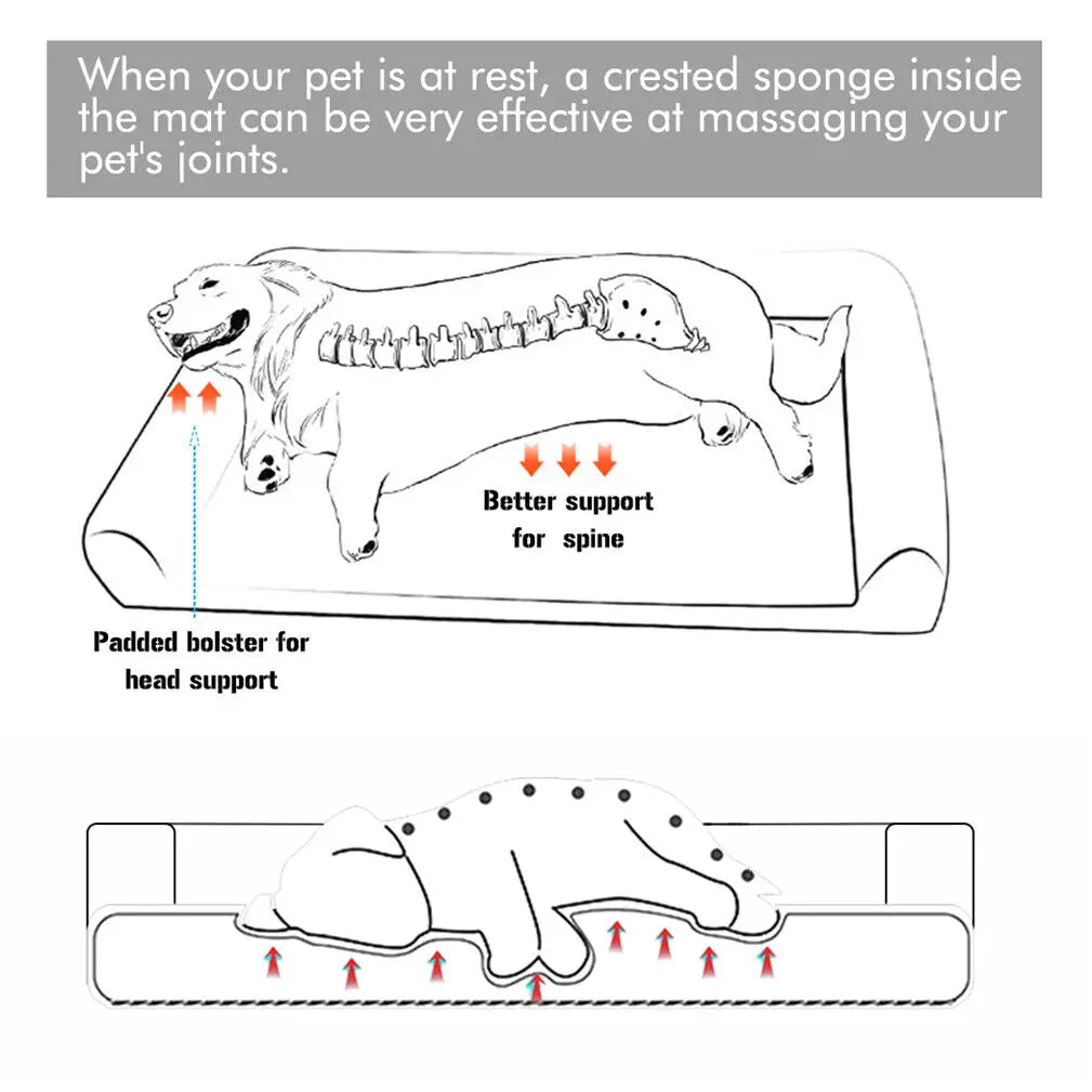 Diagram showing spine support and padded head bolster