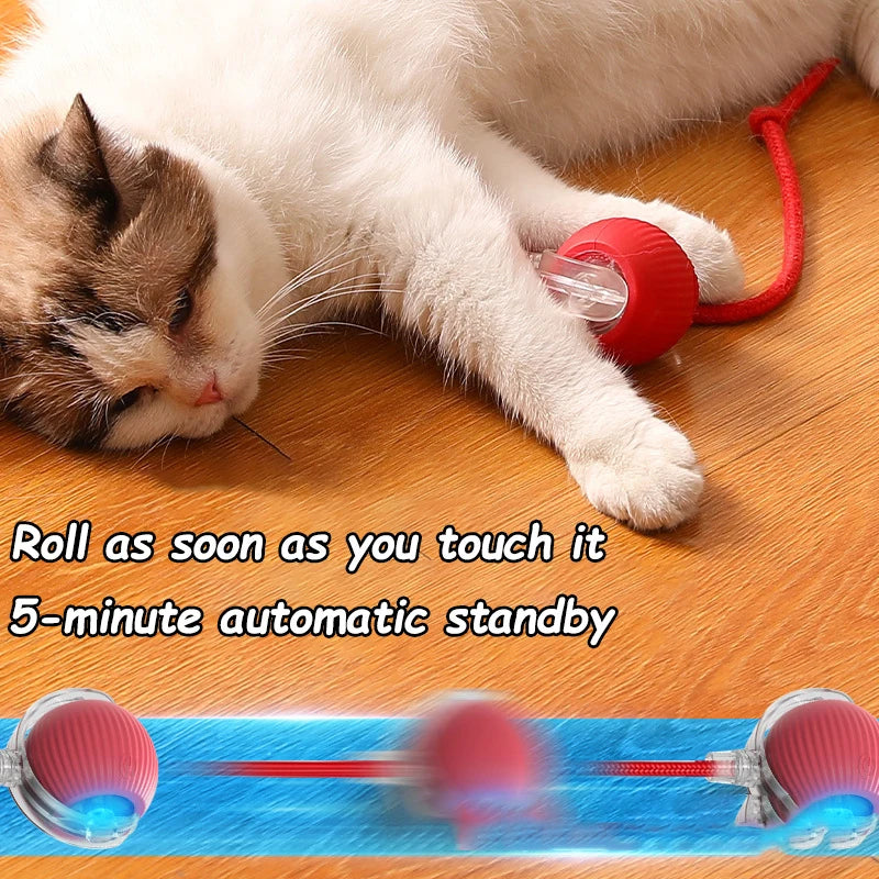 Loft Play smart ball view 4