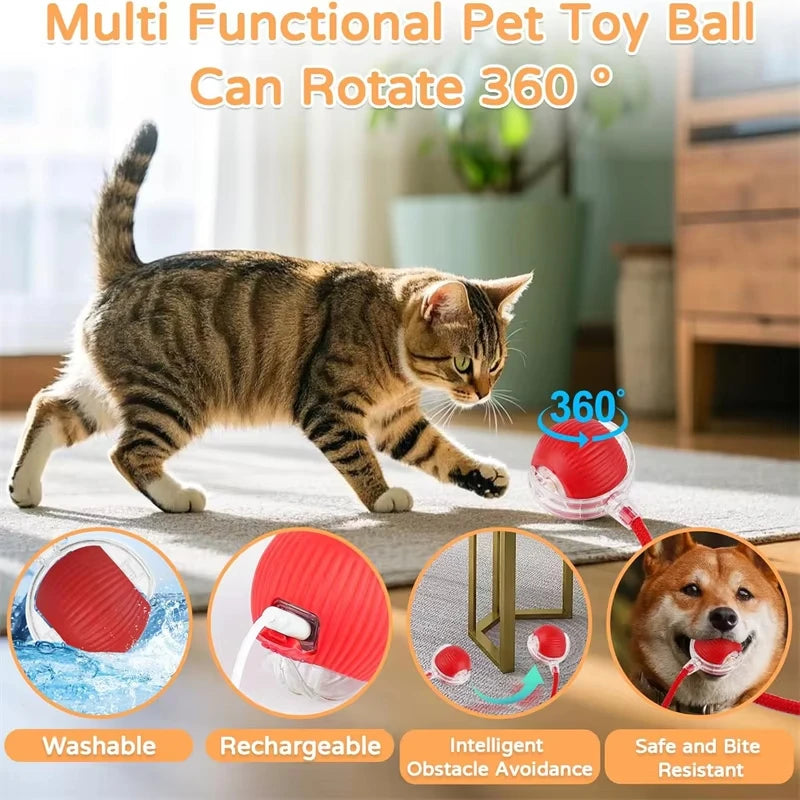 Loft Play smart ball view 3