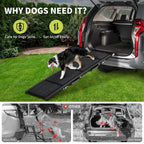 Border collie using the ramp to get out of an SUV boot, protecting the dog's joints