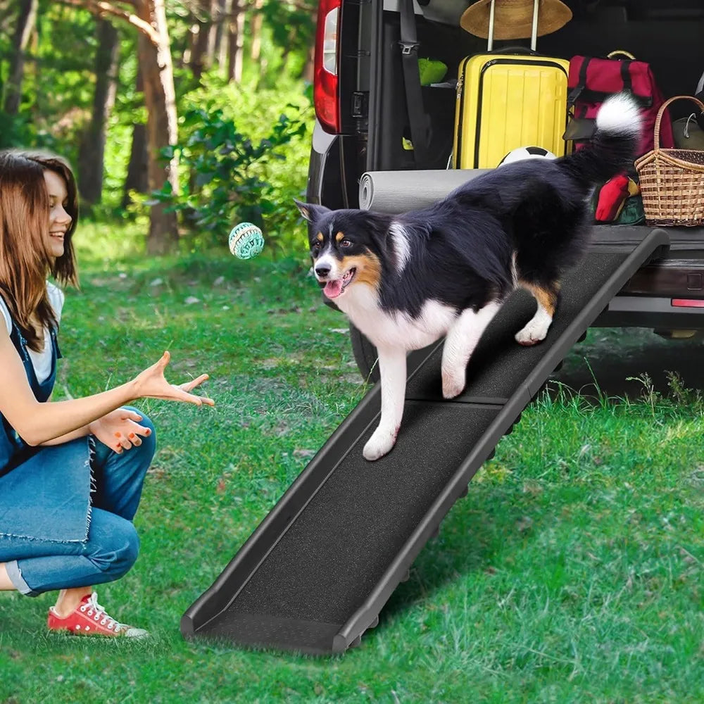 Border collie walking down the dog ramp onto grass beside a car boot