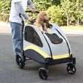 Golden retriever riding in the Loft Summit large dog stroller outdoors