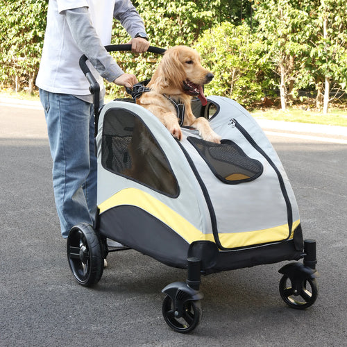 Golden retriever riding in the Loft Summit large dog stroller outdoors