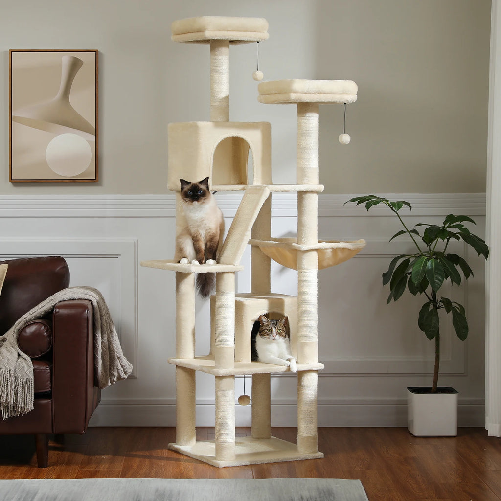 Loft Vista cat condo view 3