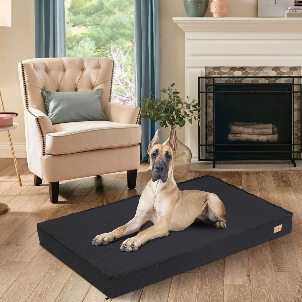 Great Dane lying on the XL Loft Meridian orthopedic mattress