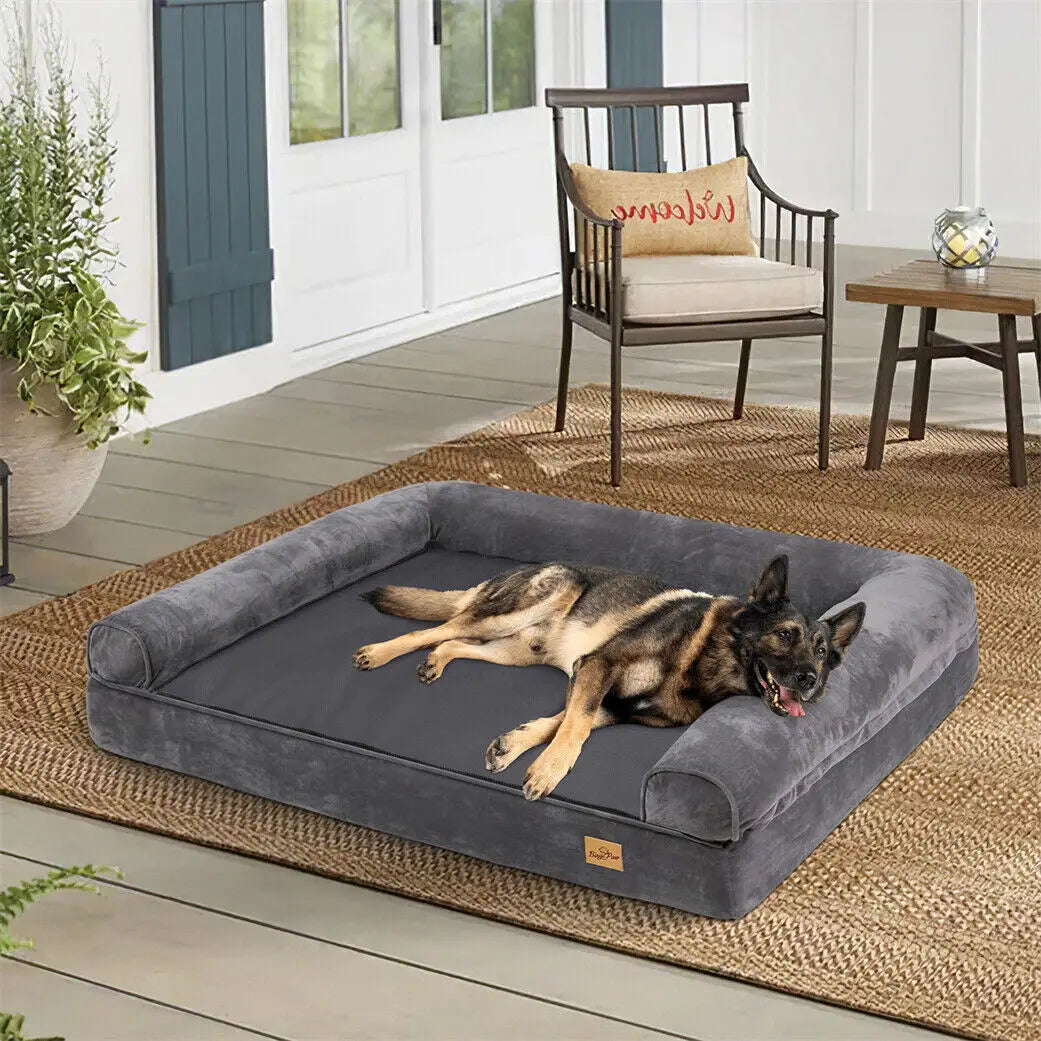 German Shepherd on the Loft Haven bolster orthopedic bed