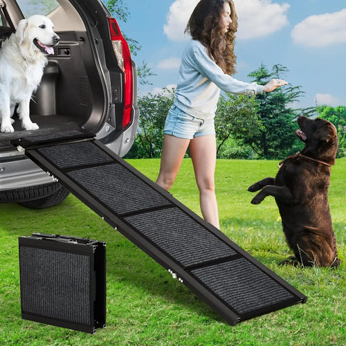 Four-panel folding aluminium dog ramp with carpeted tread running from grass to an SUV boot, golden retriever at the top and a chocolate labrador waiting