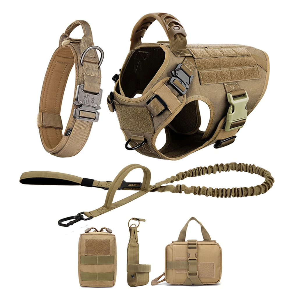 Loft Trail working-breed harness and leash set