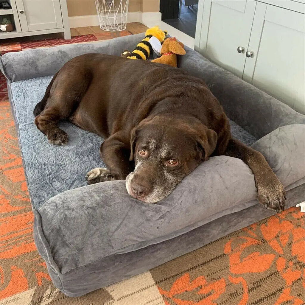 Large dog resting on the Loft Haven bolster bed