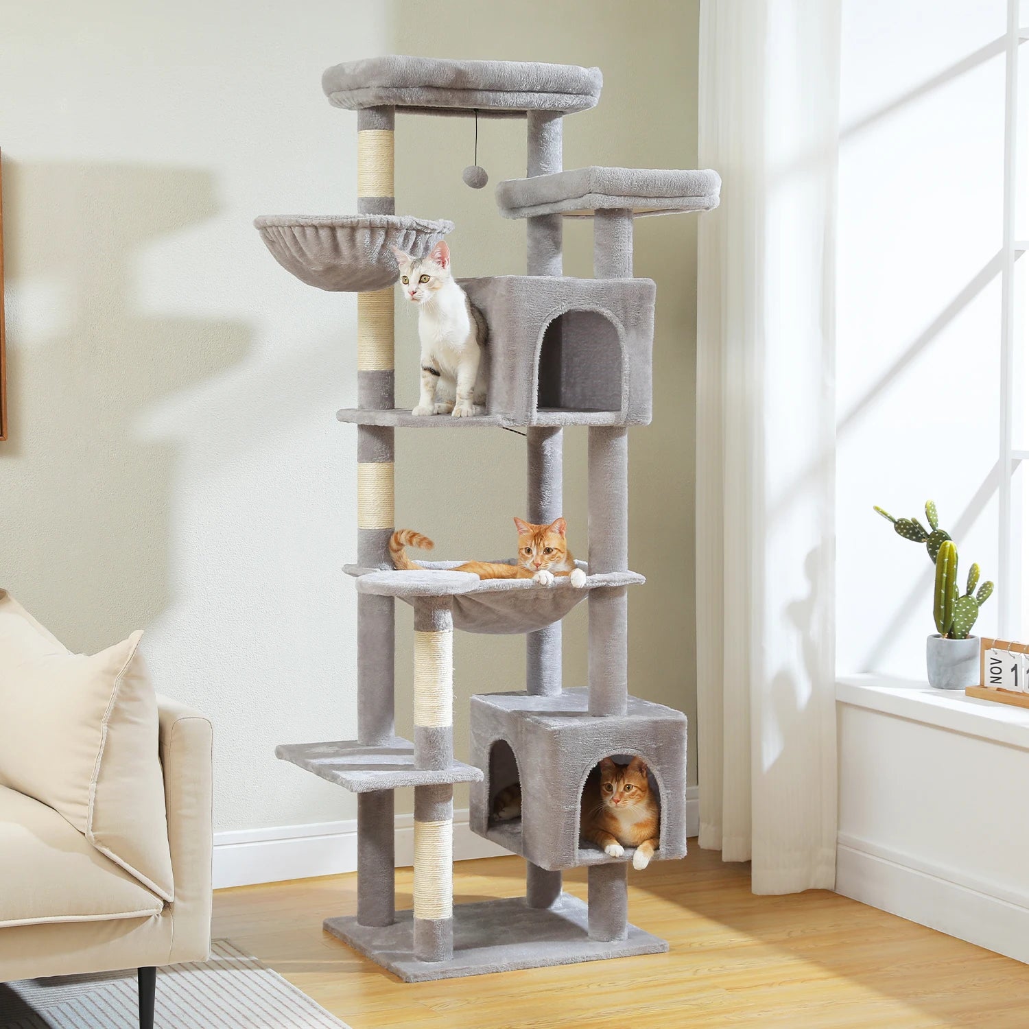 Loft Vista cat condo view 5