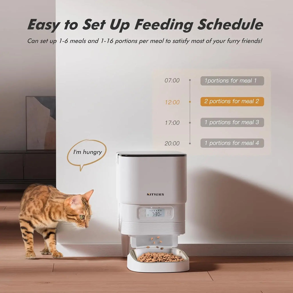 Loft Portion feeder view 8