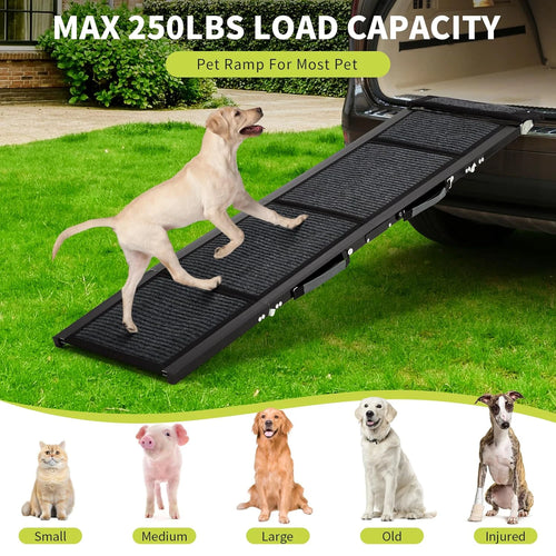 Great Dane walking down the ramp on grass, maximum 250 lb load capacity, suits small, medium, large, older and injured dogs