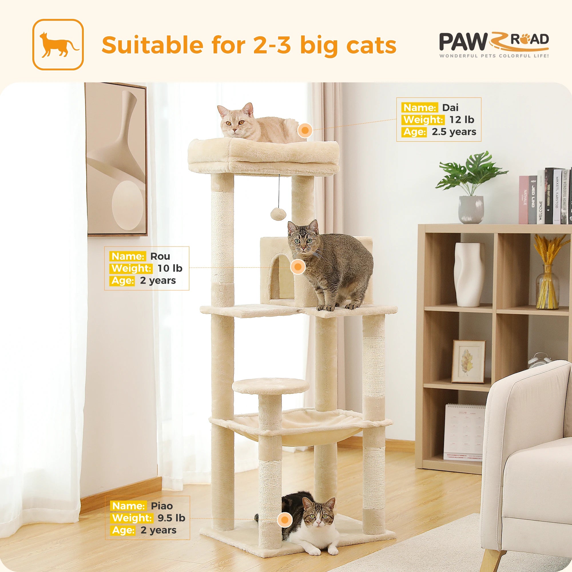 Loft Peak cat tower view 5