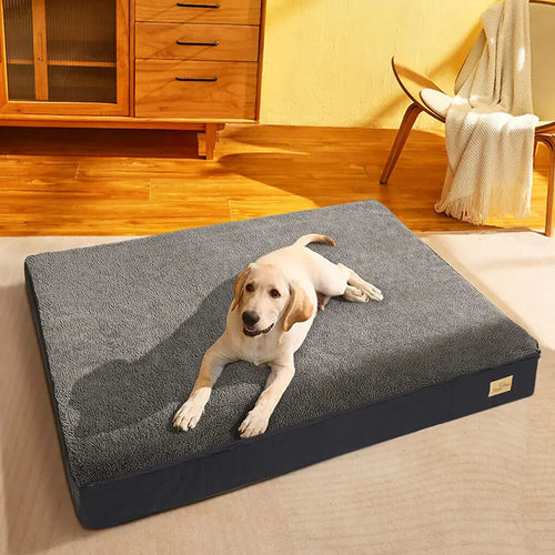 Loft Meridian orthopedic dog mattress with a retriever resting on it