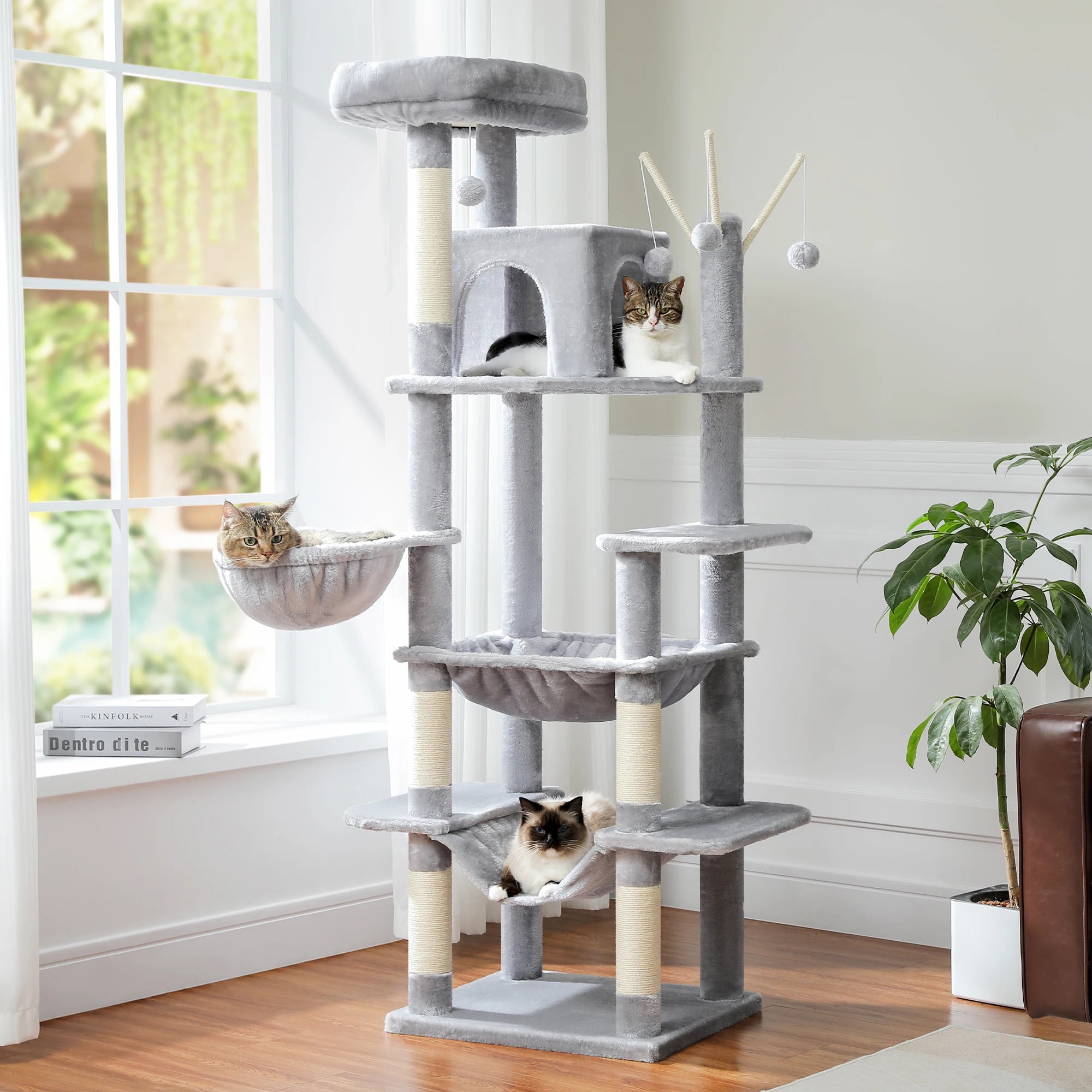 Loft Vista cat condo view 6
