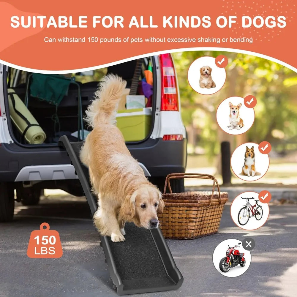 Golden retriever walking down the ramp from an estate car, rated to 150 lb