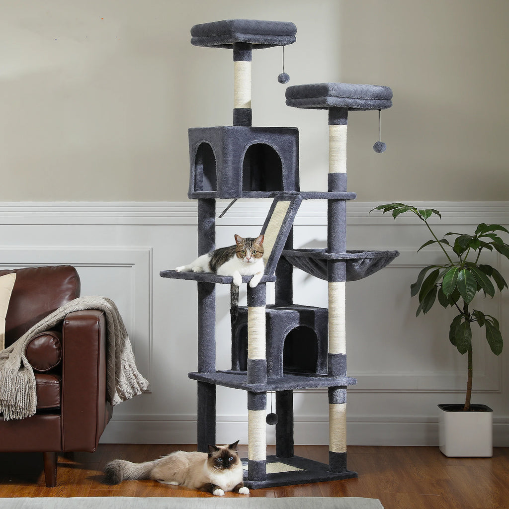 Loft Vista cat condo view 2