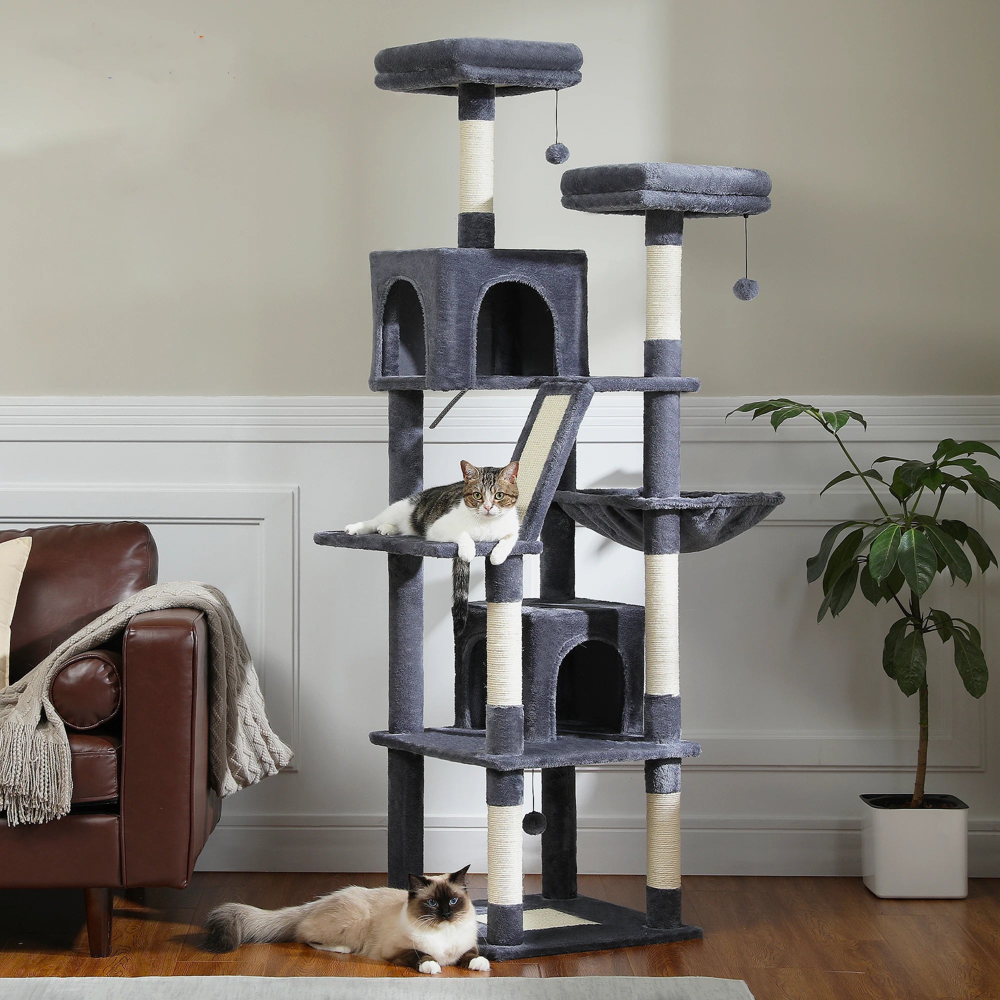 Loft Vista cat condo view 2