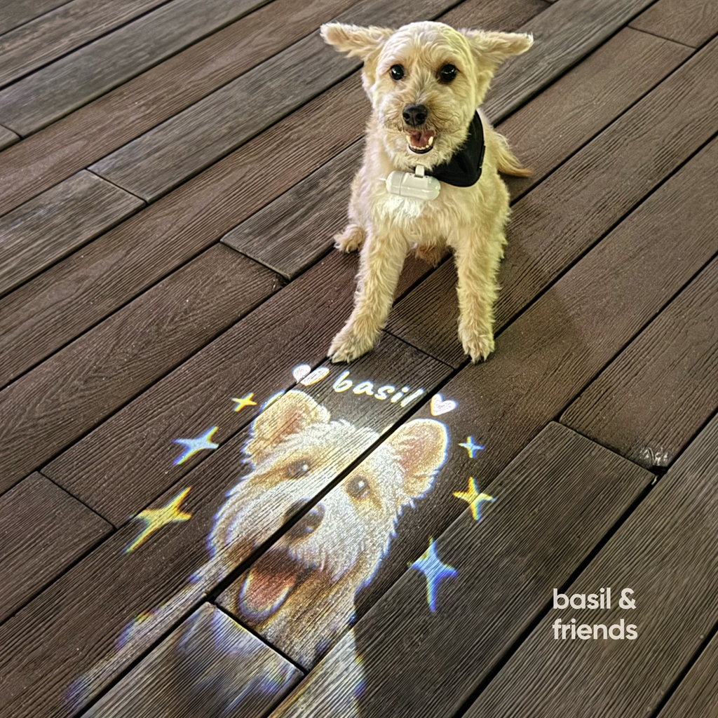 The Spotlight - Custom Pet Collar Projector