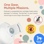 The Spotlight - Night Projection Gear for Service & Guide Dogs
