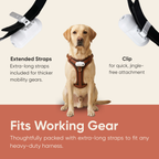 The Spotlight - Night Projection Gear for Service & Guide Dogs