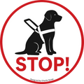 The Spotlight - Night Projection Gear for Service & Guide Dogs