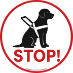 The Spotlight - Night Projection Gear for Service & Guide Dogs