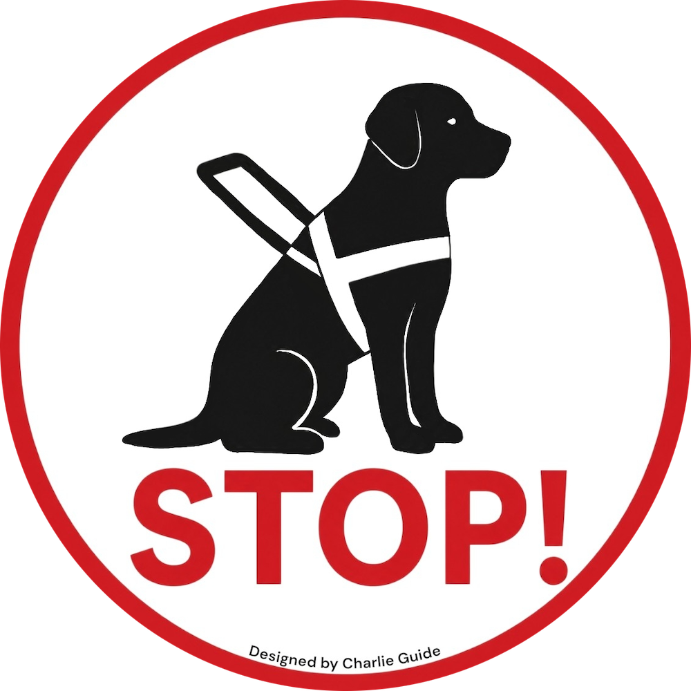 The Spotlight - Night Projection Gear for Service & Guide Dogs
