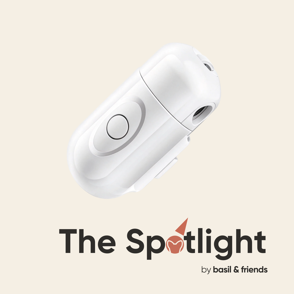The Spotlight - Custom Pet Collar Projector