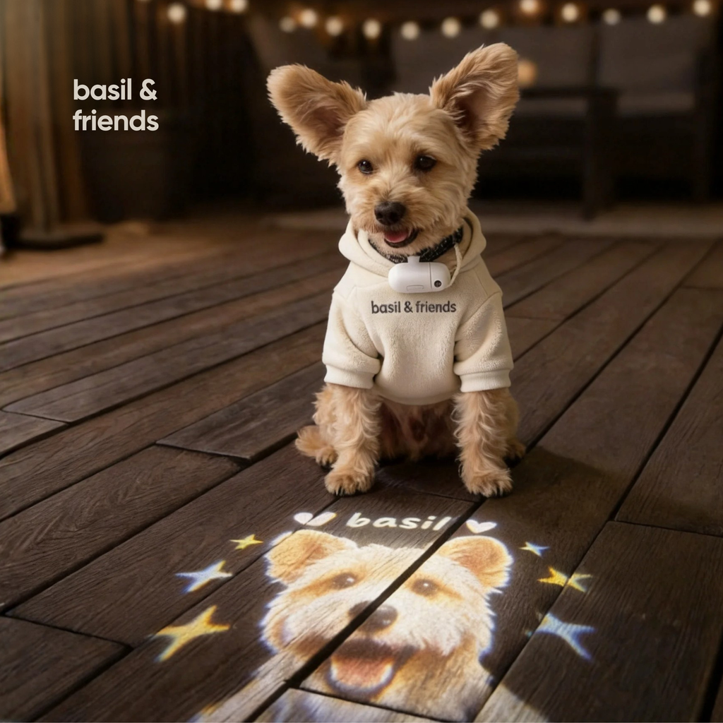 The Spotlight - Custom Pet Collar Projector