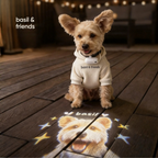The Spotlight - Custom Pet Collar Projector