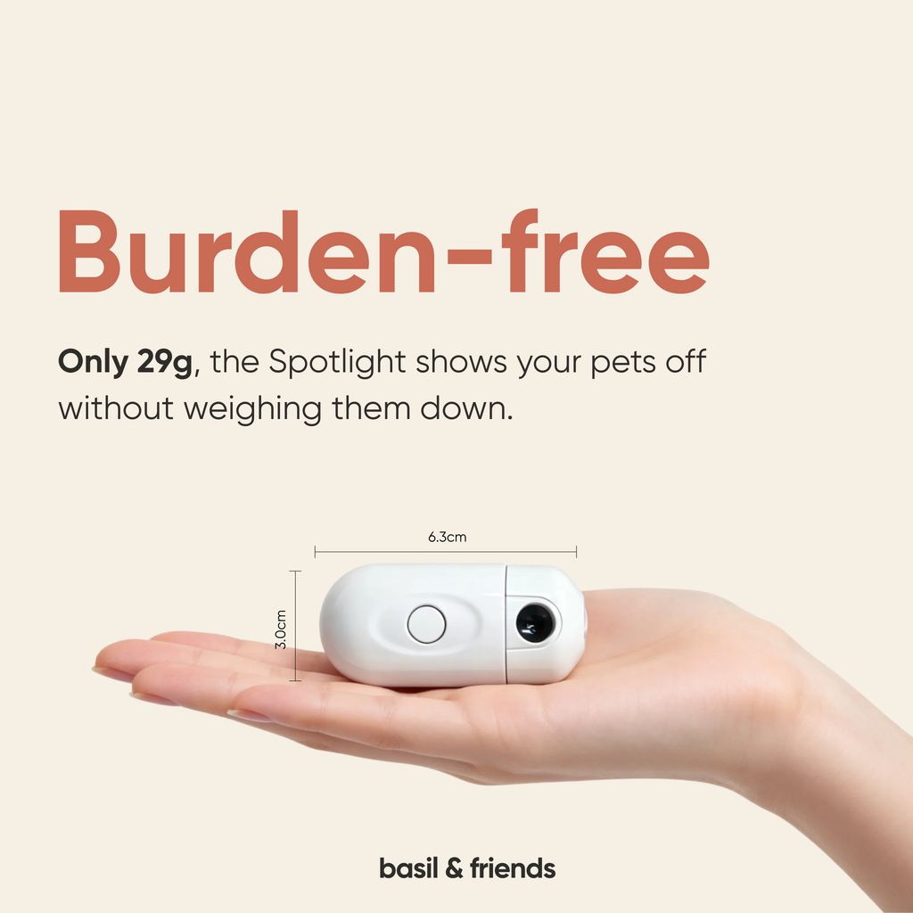 The Spotlight - Custom Pet Collar Projector
