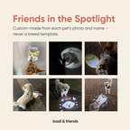 The Spotlight - Custom Pet Collar Projector
