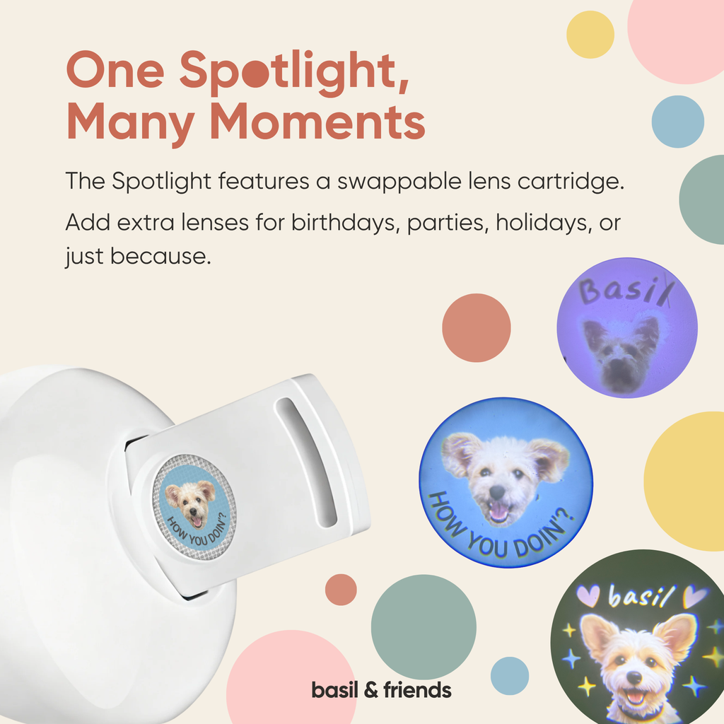 The Spotlight - Custom Pet Collar Projector